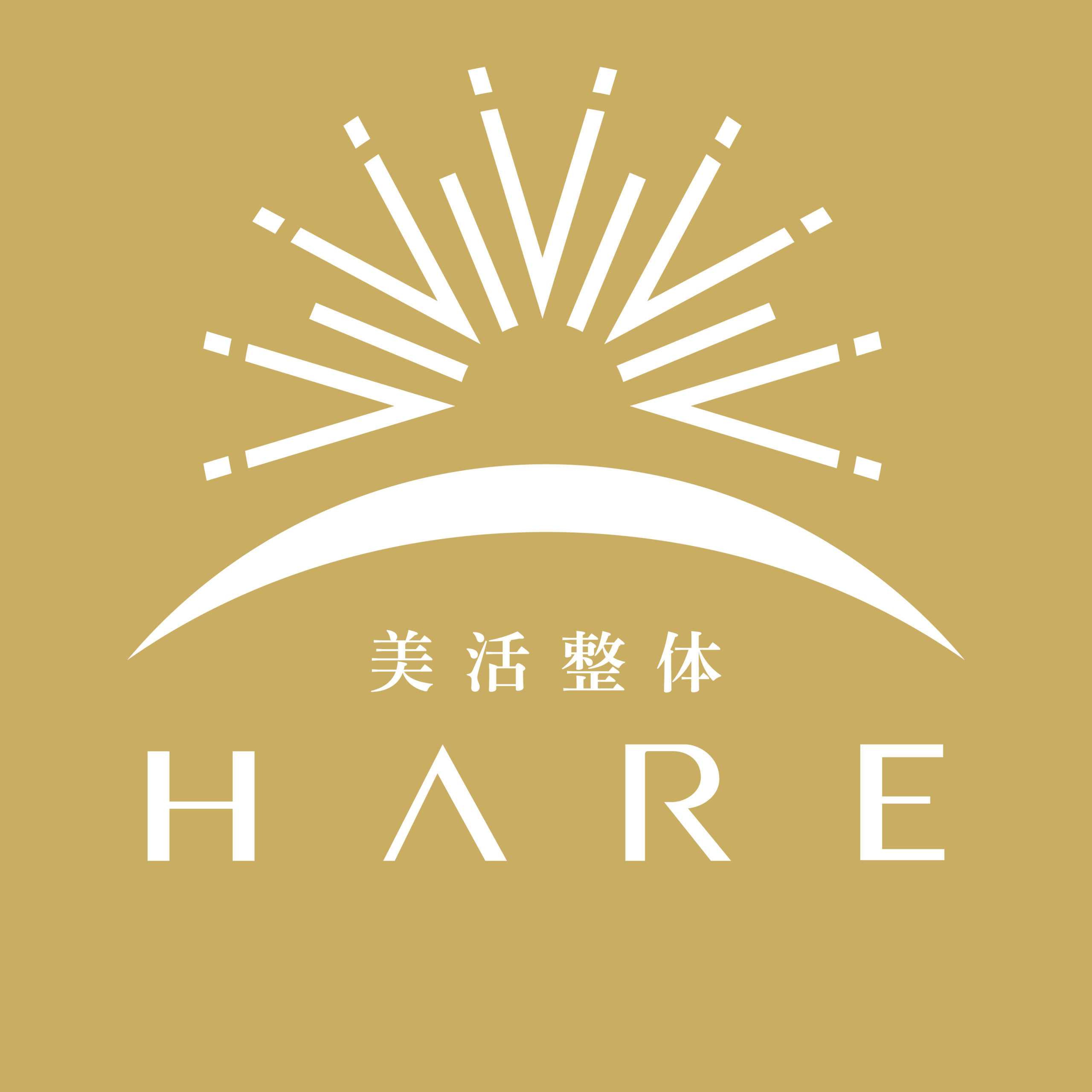 美容整体HARE